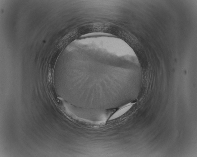 X0000081370137200702020214