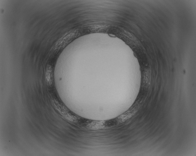 X0000081370138200702020214