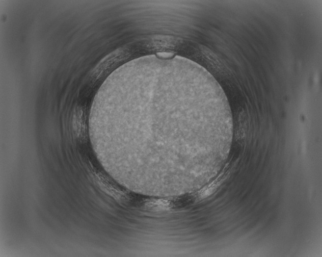 X0000081370140200702020214