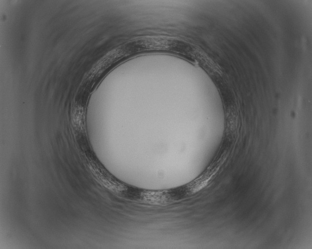 X0000081370141200702020214