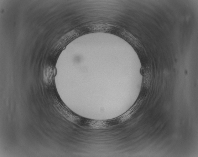 X0000081370142200702020214