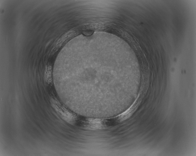 X0000081370144200702020214