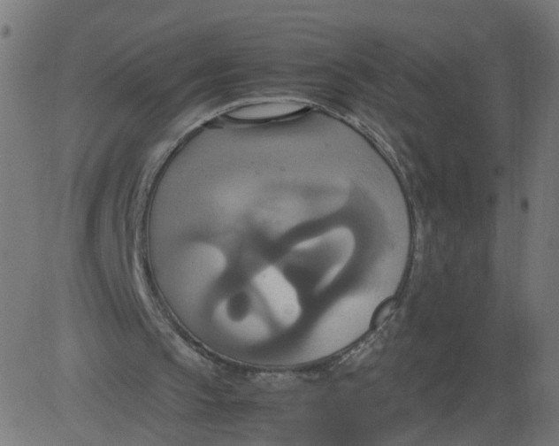 X0000081370145200702020214