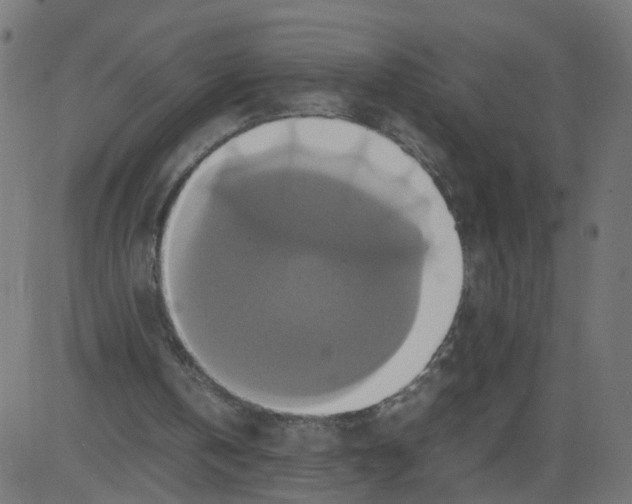 X0000081370146200702020214