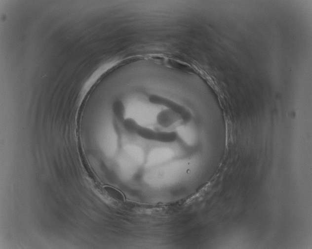 X0000081370147200702020214