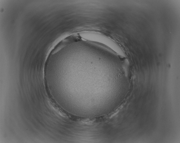 X0000081370148200702020214