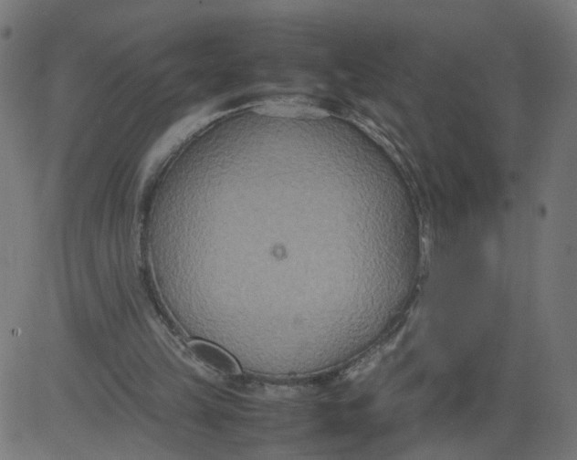 X0000081370149200702020214