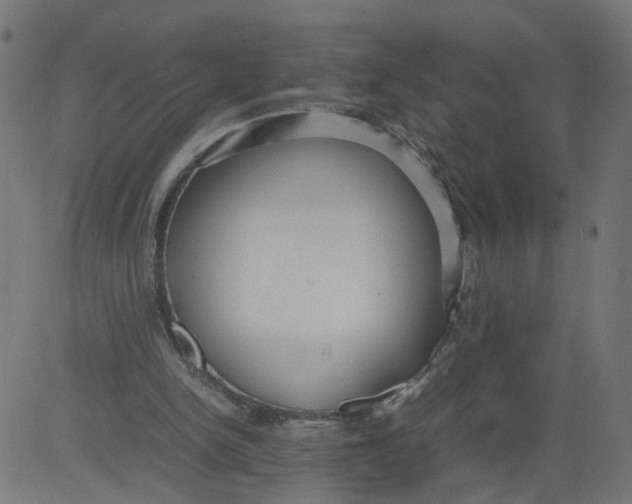 X0000081370150200702020214