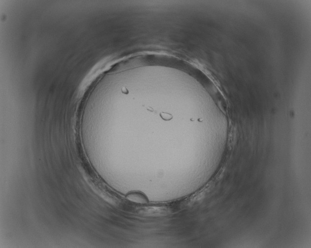 X0000081370151200702020214