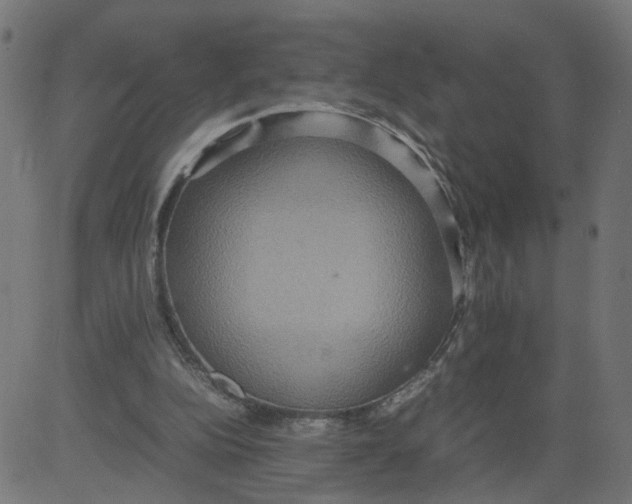 X0000081370152200702020214