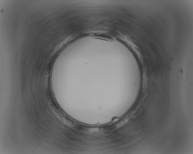 X0000081370153200702020214