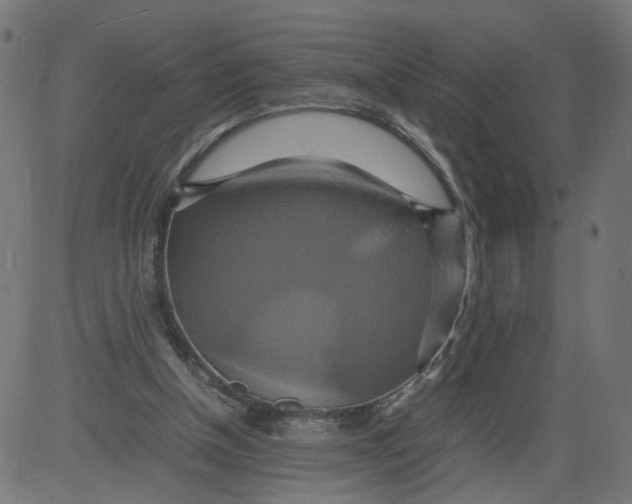 X0000081370154200702020214