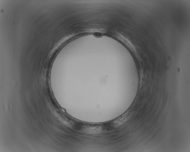 X0000081370155200702020214