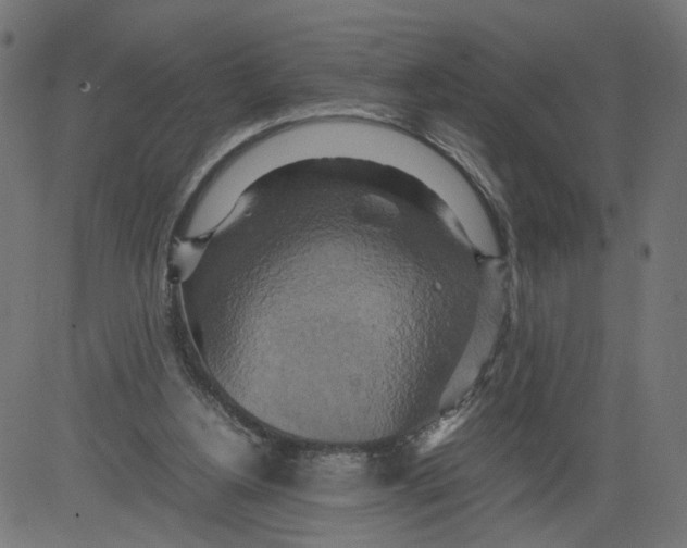 X0000081370156200702020214