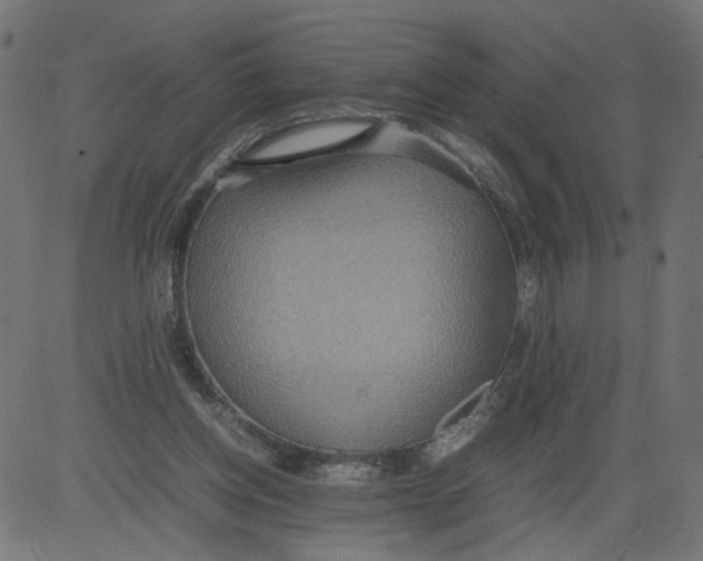 X0000081370158200702020214