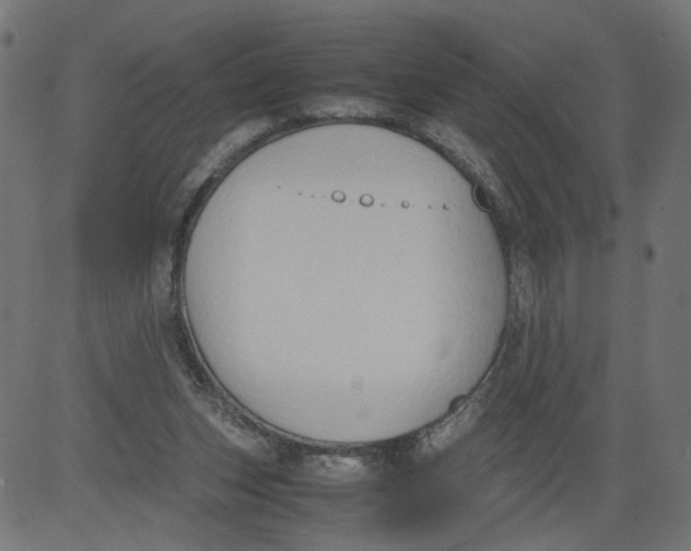 X0000081370159200702020214