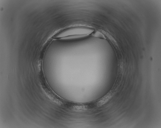 X0000081370160200702020214