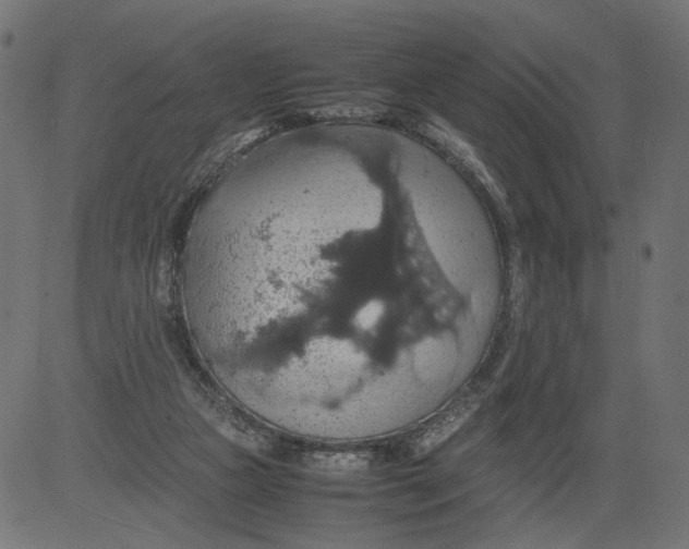 X0000081370161200702020214