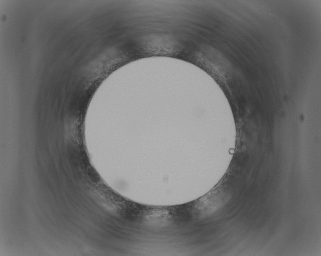 X0000081370162200702020214