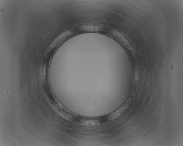 X0000081370163200702020214