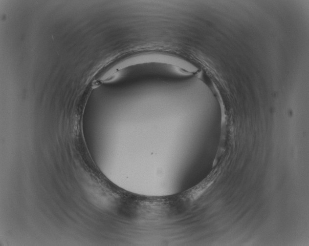 X0000081370164200702020214