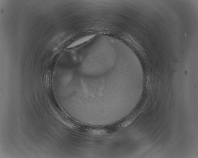 X0000081370165200702020214