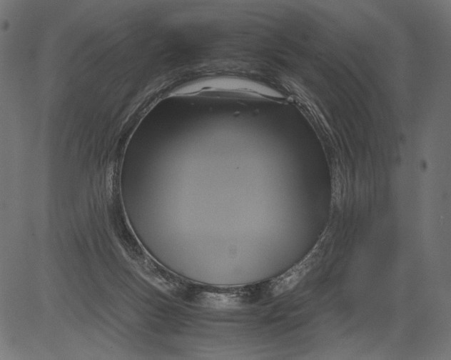 X0000081370167200702020214