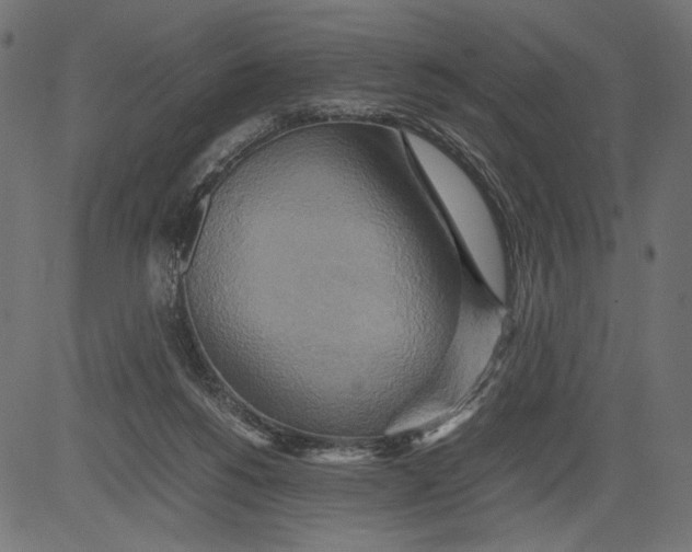 X0000081370168200702020214