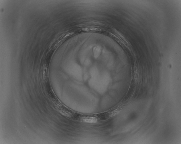 X0000081370169200702020214