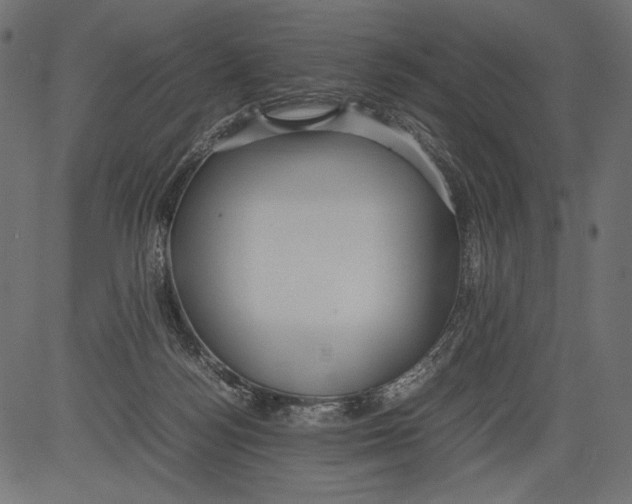 X0000081370172200702020214