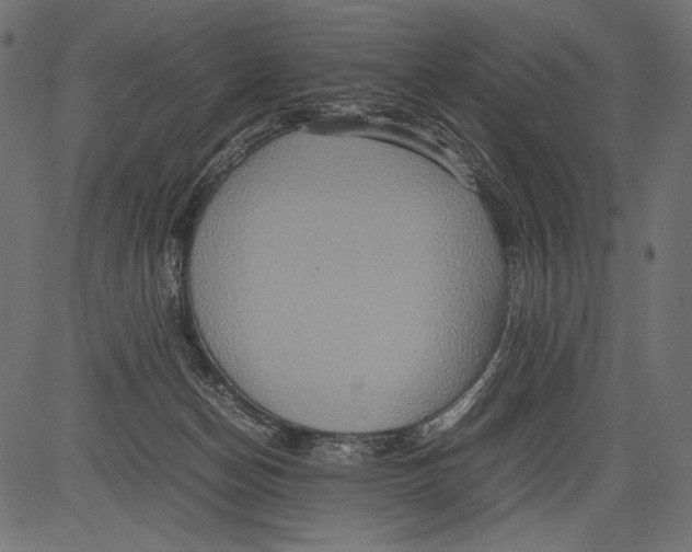 X0000081370174200702020214