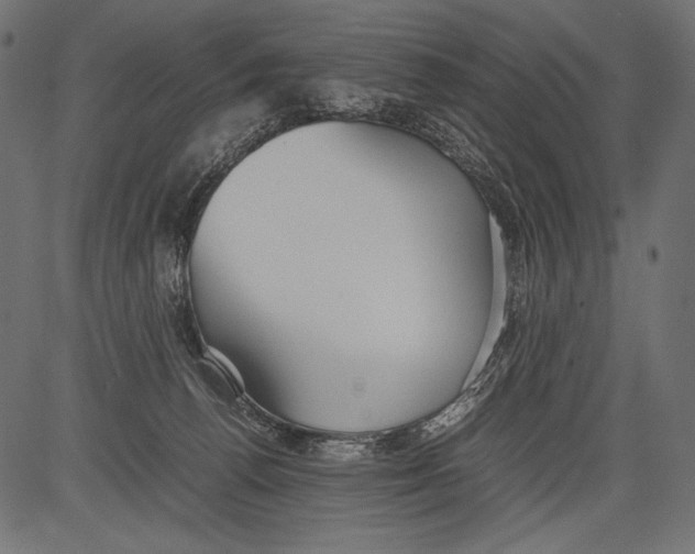 X0000081370176200702020214