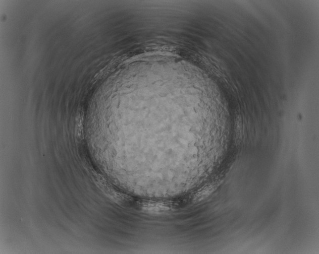 X0000081370177200702020214