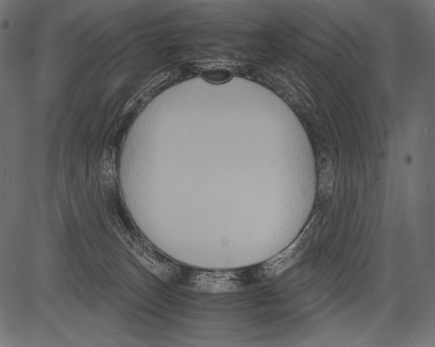 X0000081370179200702020214