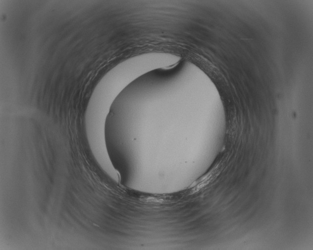 X0000081370180200702020214