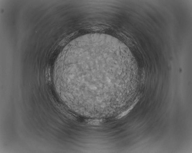 X0000081370182200702020214