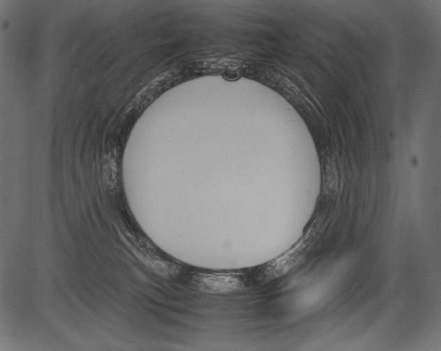 X0000081370183200702020214