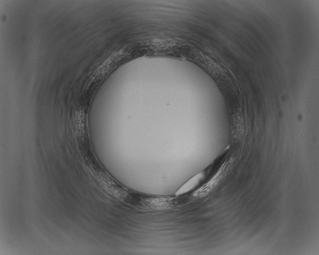 X0000081370184200702020214