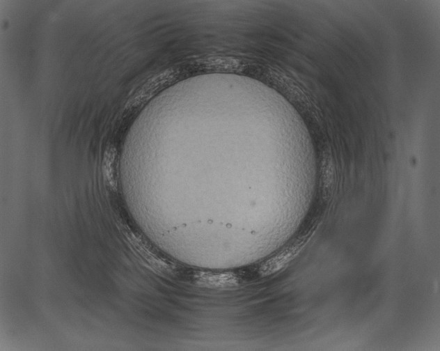 X0000081370185200702020214