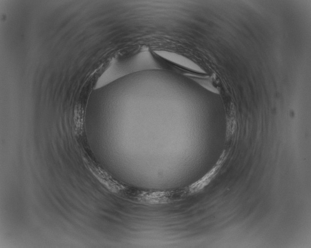 X0000081370186200702020214