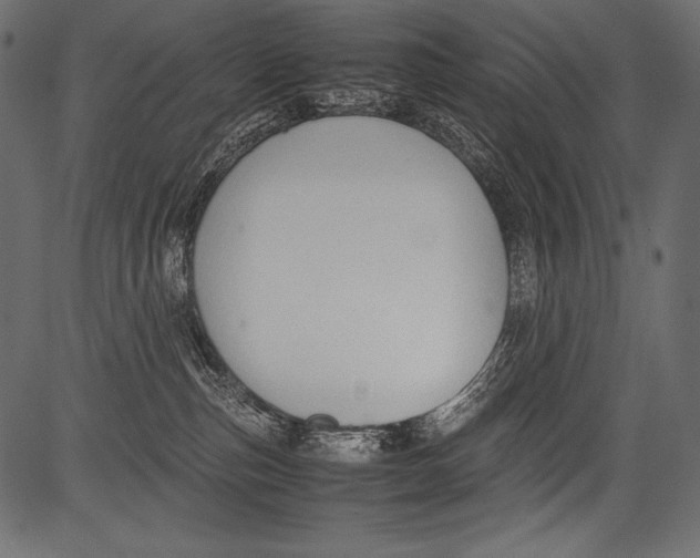 X0000081370187200702020214