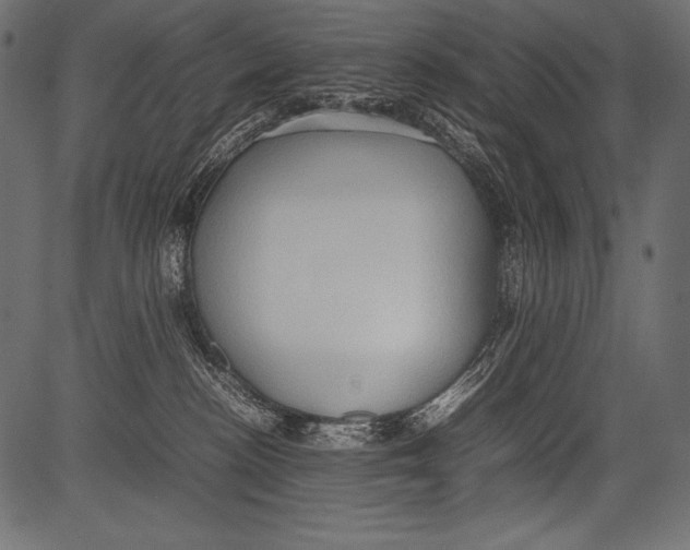 X0000081370188200702020214