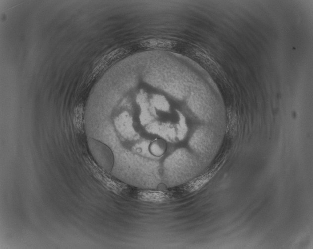 X0000081370189200702020214