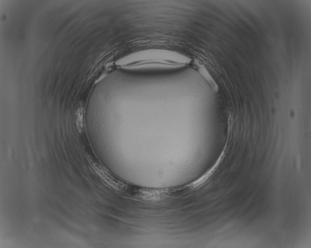 X0000081370190200702020214