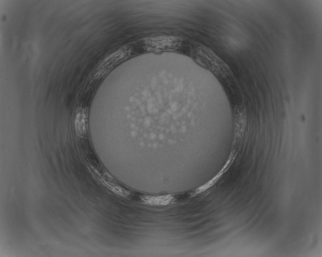 X0000081370191200702020214