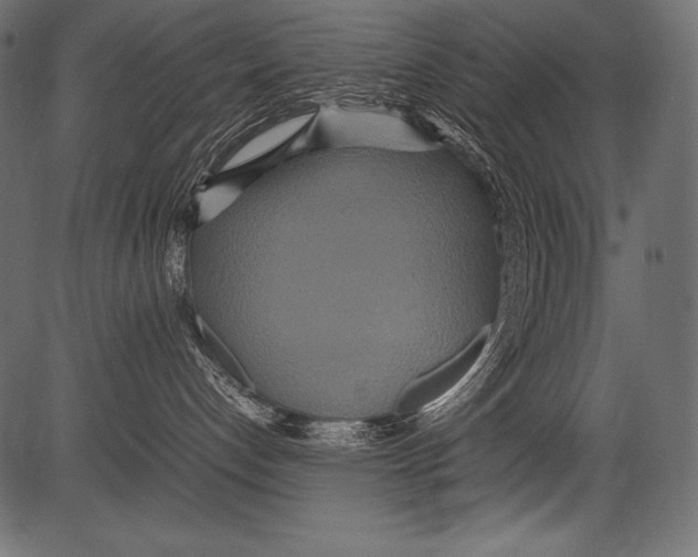 X0000081370192200702020214