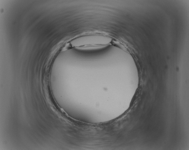 X0000081370193200702020214