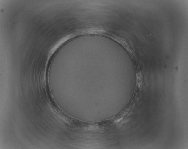 X0000081370196200702020213