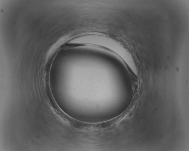 X0000081370197200702020213