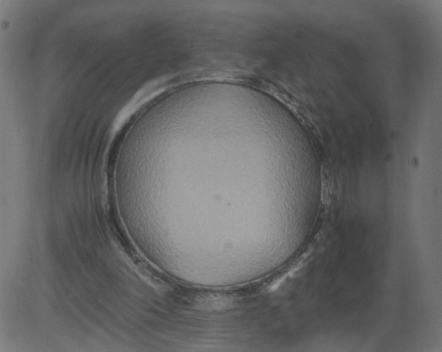 X0000081370198200702020213